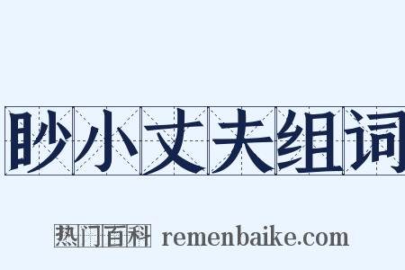 眇小丈夫组词是什么意思的图片